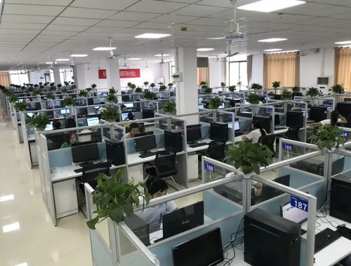 遵义软件园 以服务外包为基础，三位一体促进第三产业发展